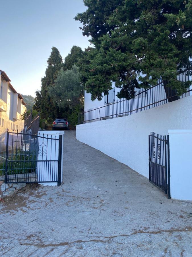 Villa Icelle Skopelos Town Sea View Swimming Pool Exterior foto